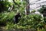Mais de 40% dos clientes da CEEE Equatorial ficaram sem luz após tempestade