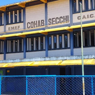 Ao menos 20 crianças recebem atendimento após ataque de enxame de abelhas em escola de Passo Fundo<!-- NICAID(16150442) -->
