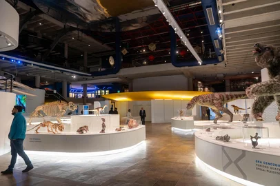 Museu da PUCRS em 2026<!-- NICAID(16324048) -->