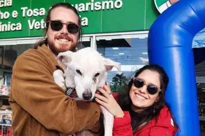 Por que não faz sentido oferecer dinheiro para que animais em abrigos sejam adotados<!-- NICAID(15804652) -->