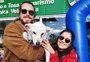 Por que não faz sentido oferecer dinheiro para que animais em abrigos sejam adotados