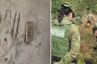 O Ibama e o Comando Ambiental da Brigada Militar investigam a possível presença de um puma em Viamão, na Região Metropolitana de Porto Alegre. A suspeita surgiu após ataques a cães e cavalos em uma propriedade na zona rural do município, perto do limite com Alvorada.<!-- NICAID(16105478) -->