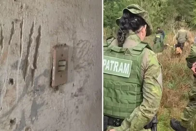 O Ibama e o Comando Ambiental da Brigada Militar investigam a possível presença de um puma em Viamão, na Região Metropolitana de Porto Alegre. A suspeita surgiu após ataques a cães e cavalos em uma propriedade na zona rural do município, perto do limite com Alvorada.<!-- NICAID(16105478) -->