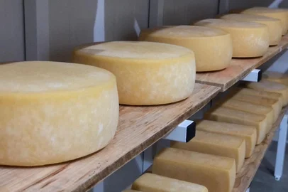 Produtores de queijo da Serra sofrem impacto do aumento de insumos<!-- NICAID(14802583) -->
