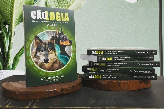 Divulgação / Divulgação