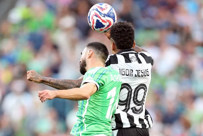 Vitor Silva / Botafogo Vitor Silva / Botafogo