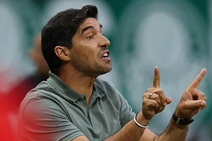 Cesar Greco / Palmeiras / Divulgação