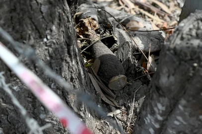 This photo taken on February 11, 2025 shows an unexploded bomb seen next to a tree trunk at a village in Svay Rieng province. Parts of Cambodia are still littered with unexploded ordnance from decades of conflict, and US President Donald Trump's decision to freeze virtually all American aid has seen many long-running projects to clear the deadly debris grind to a halt. (Photo by TANG CHHIN Sothy / AFP) / To go with 'CAMBODIA-US-POLITICS-LANDMINE-AID,FOCUS' by Suy SEEditoria: POLLocal: Svay RiengIndexador: TANG CHHIN SOTHYSecao: foreign aidFonte: AFPFotógrafo: STF<!-- NICAID(15982179) -->