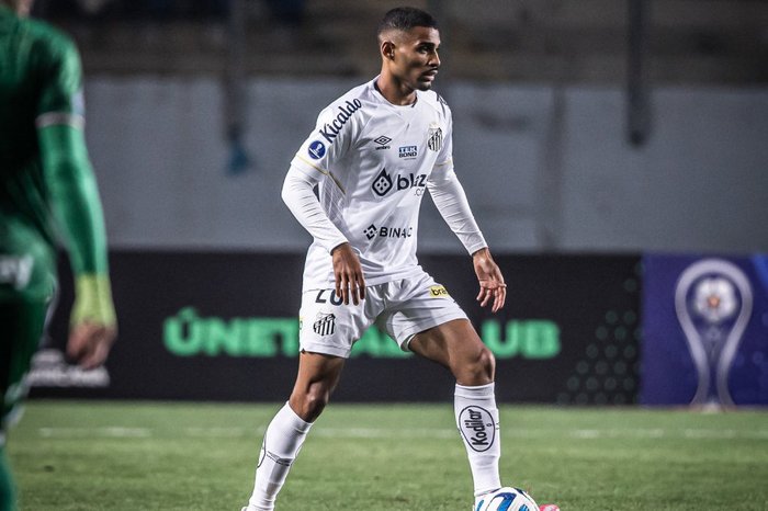 Raul Baretta / Santos FC/Divulgação