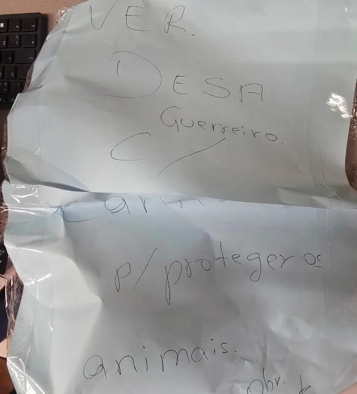Andreza Guerreiro / Arquivo pessoal Andreza Guerreiro / Arquivo pessoal