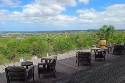 Bodega Garzón, no Uruguai<!-- NICAID(16238571) -->