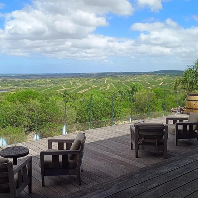 Bodega Garzón, no Uruguai<!-- NICAID(16238571) -->