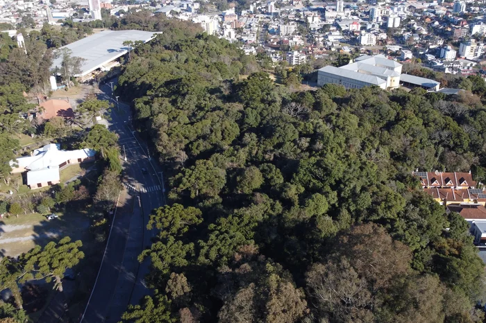 Fokuss Videojornalismo / Prefeitura de Caxias do Sul / Divulgação