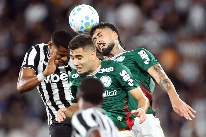 Vitor Silva / Divulgação/Botafogo.
