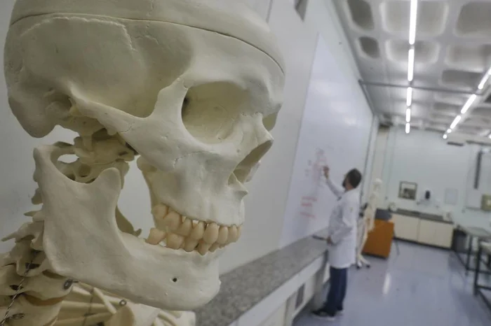 Lauro Alves / Agencia RBS