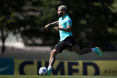 Gabigol, Seleção Brasileira