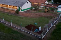 MONTENEGRO, RS, BRASIL, 16/05/2025: O Ministério da Agricultura e Pecuária confirmou nesta sexta-feira (16) a detecção de um caso de influenza aviária em aves comerciais do Estado. Trata-se do primeiro caso encontrado em granjas comerciais do Brasil. Em razão disso, foi decretado estado de emergência zoossanitária por 60 dias. Foto: Jefferson Botega/Agência RBS<!-- NICAID(16039375) -->