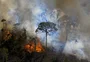 COP27 começa no domingo com alarmismo climático, demanda energética e liderança do Brasil em pauta