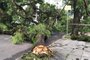 emporal causa queda de árvores e alagamentos em Porto Alegre<!-- NICAID(15652422) -->