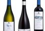 Vinícola de Bento Gonçalves lança linha que destaca técnicas de vinificação