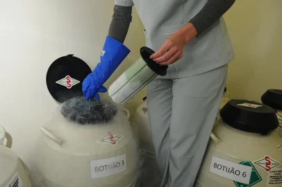 CAXIAS DO SUL, RS, BRASIL, 05/10/2022. A reportagem foi até a clínica Conception Reprodução Humana, para entrevista sobre o procedimento de congelamento de óvulos. (Bruno Todeschini/Agência RBS)<!-- NICAID(15227491) -->