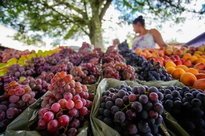 Produtores comemoram resultado da 30ª Festa da Uva e da Ameixa<!-- NICAID(15312514) -->