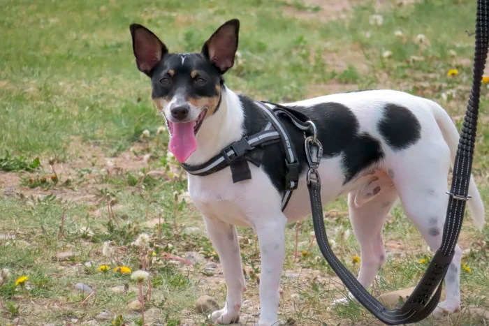 oasisamuel / Shutterstock | Portal EdiCase