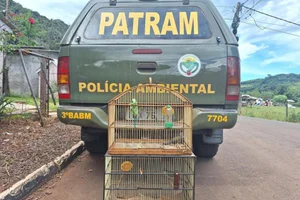 3° BABM / Divulgação