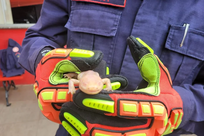 Corpo de Bombeiros de Erechim / Divulgação