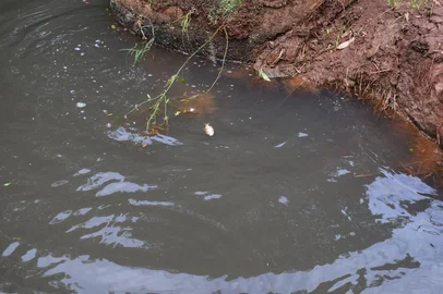Imagens de ppoluição hídrica em Campinas do Sul.<!-- NICAID(16241914) -->