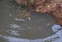 Rompimento de tubulação provoca vazamento de dejetos e contamina rio que abastece Campinas do Sul