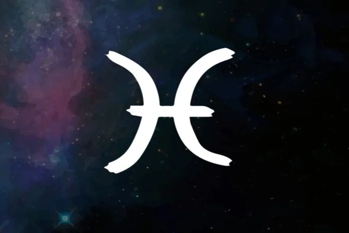 Cro Magnon / Shutterstock | Portal EdiCase