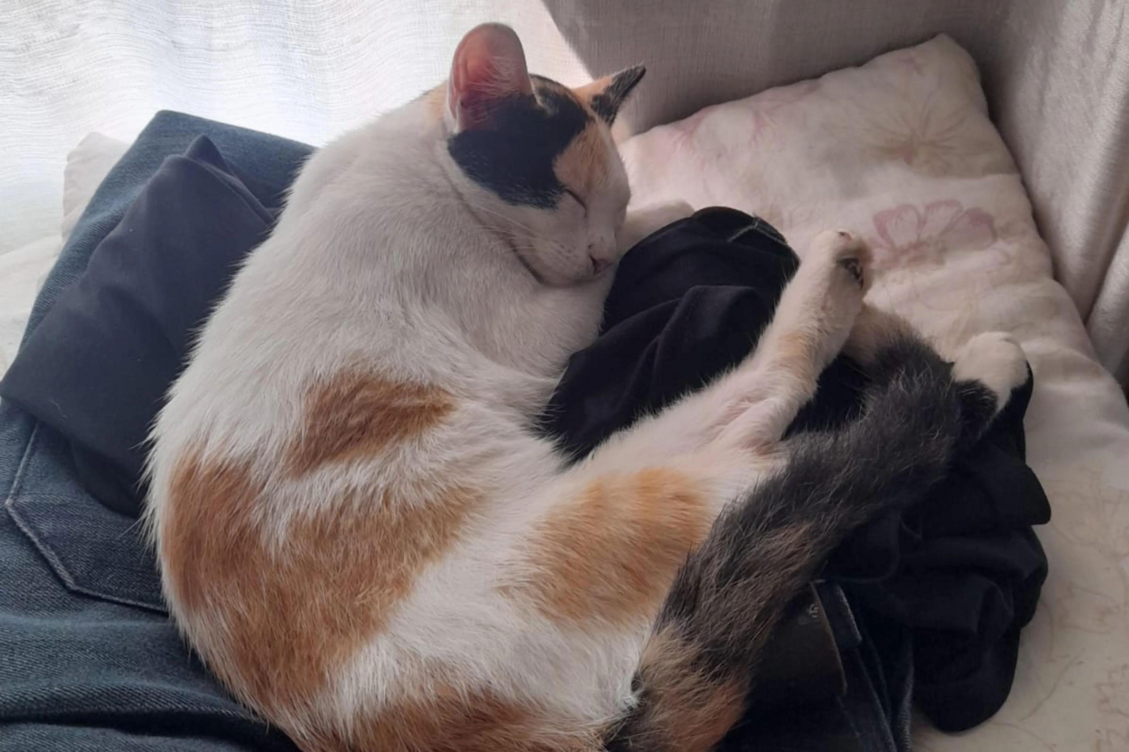 Cenira Lopes/Arquivo pessoal