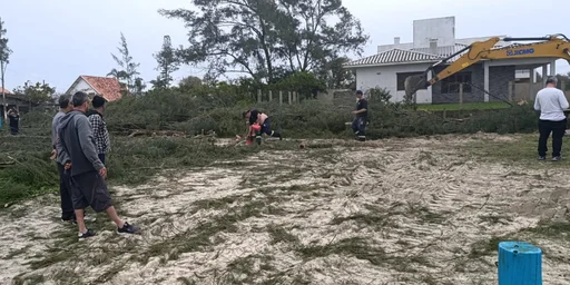 O que explica o corte de mais de 150 árvores à beira-mar das praias ao sul de Torres, no Litoral Norte | DG