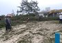 O que explica o corte de mais de 150 árvores à beira-mar das praias ao sul de Torres, no Litoral Norte