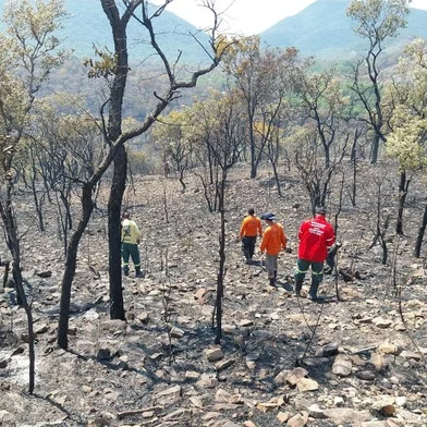 (fotos de 28/01 - 30/01)  Incêndio florestal na região da Serra do Amolar, Pantanal. Foto: Brigada Alto Pantanal/IHP/Divulgação<!-- NICAID(15666660) -->