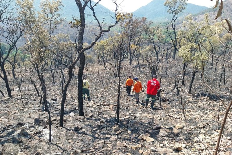 (fotos de 28/01 - 30/01)  Incêndio florestal na região da Serra do Amolar, Pantanal. Foto: Brigada Alto Pantanal/IHP/Divulgação<!-- NICAID(15666660) -->