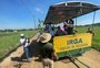 O que chineses, árabes, ganeses e nigerianos foram fazer em uma lavoura de arroz no RS