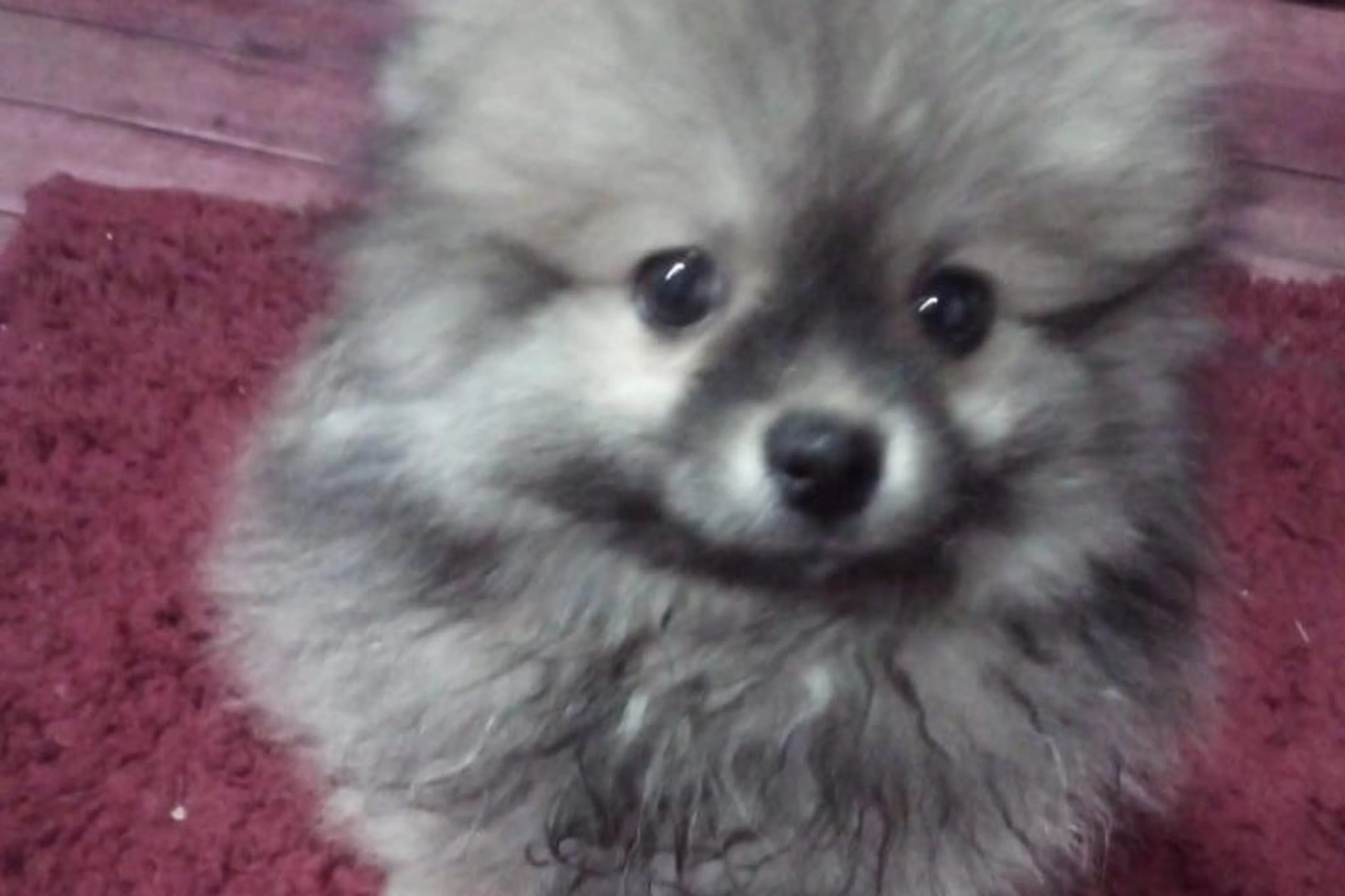 Arquivo Pessoal/Arquivo Pessoal