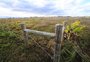 Novo porto do litoral gaúcho ganha autorização para retirada de vegetação