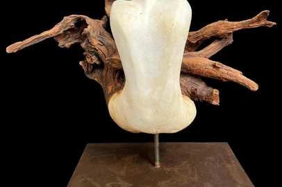 A Galeria Arte Quadros apresenta a 44ª Vitrine Conceito, intitulada "Onde Habito", com a colaboração entre a escultora caxiense Elisa Zattera, e a arquiteta Simone Martini. A abertura ocorrerá no dia 28 de setembro, das 18h às 21h, na Galeria Arte Quadros. A entrada é franca e aberta a todos. O encerramento da exposição será no dia 20 de novembro.<!-- NICAID(15550332) -->