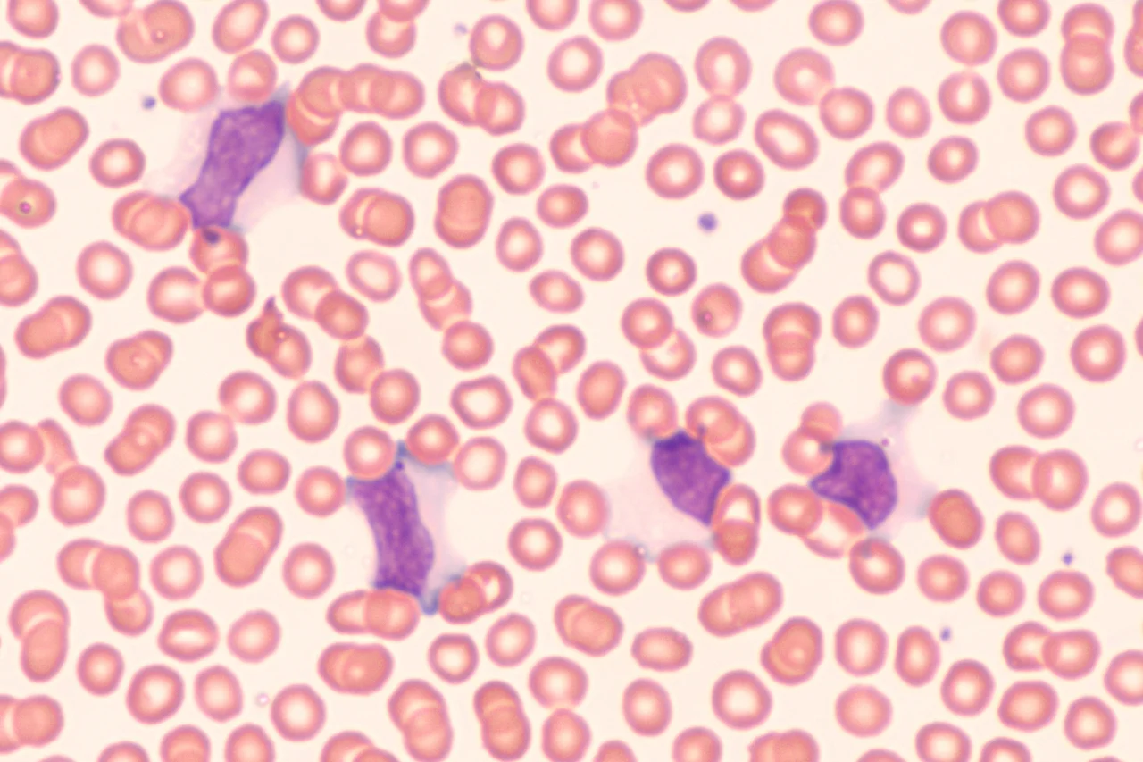 Reprodução/adobe.stock.com