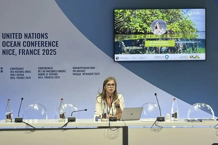 Conferência dos Oceanos / Divulgação