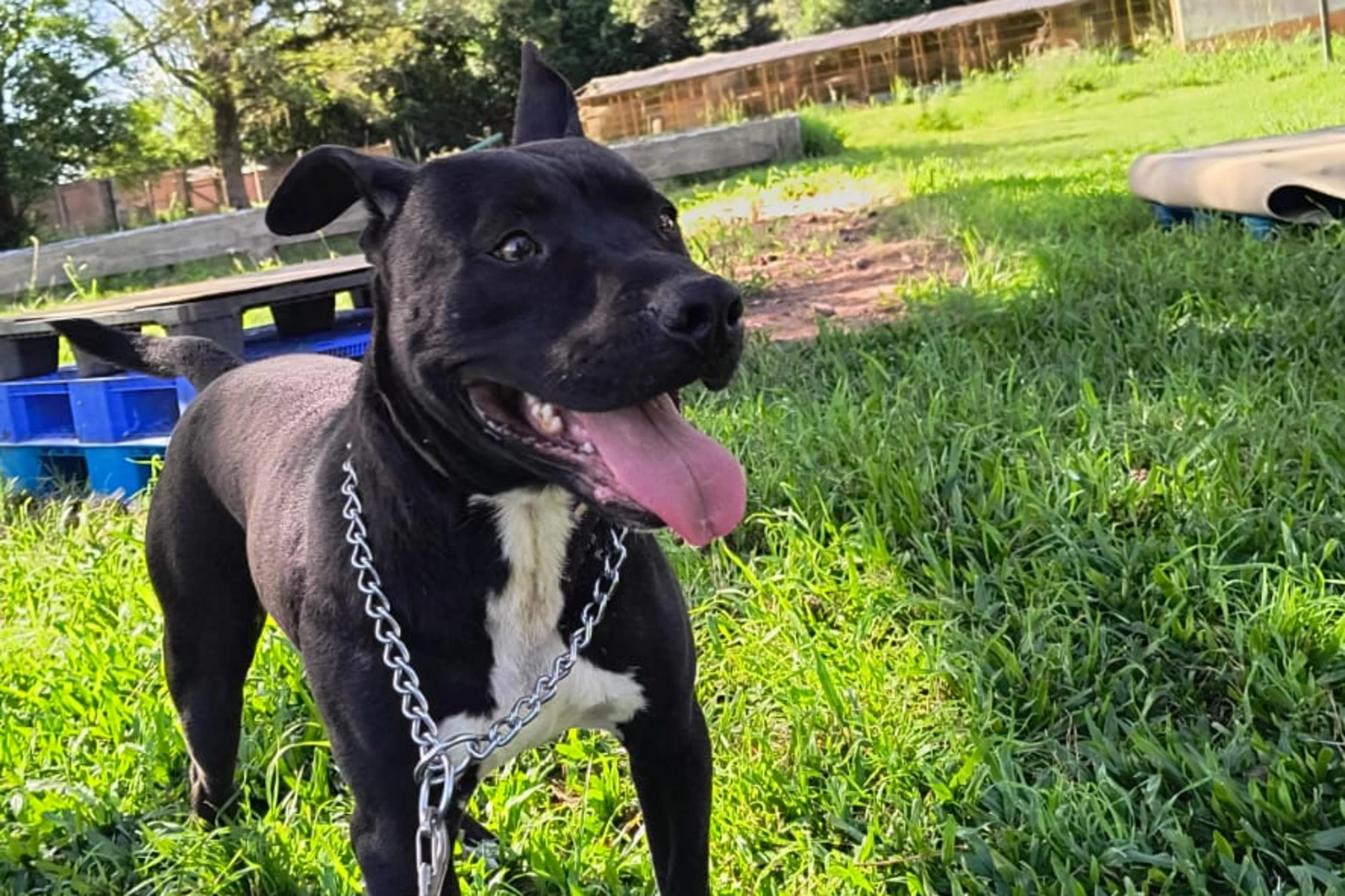 Evelize Fabricio/Divulgação