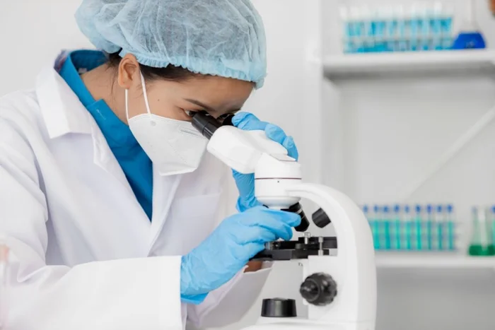 Nan Tun Nay / Shutterstock | Portal EdiCase