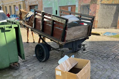 Joanna Manhago / Arquivo Carroceiros têm até esta sexta-feira para concluir cadastro em Rio Grande<!-- NICAID(16167340) -->