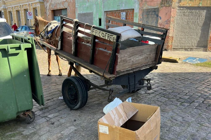 Joanna Manhago / Arquivo