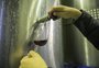 Dos imigrantes pioneiros à busca de novos terroirs: a revolução dos parreirais impulsiona a produção de vinhos na Serra