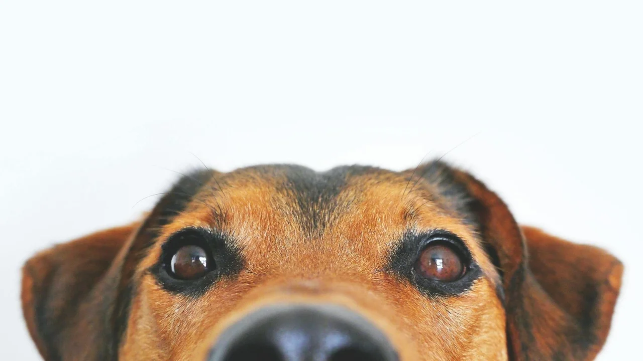 Foto de Lum3n/Pexels.com