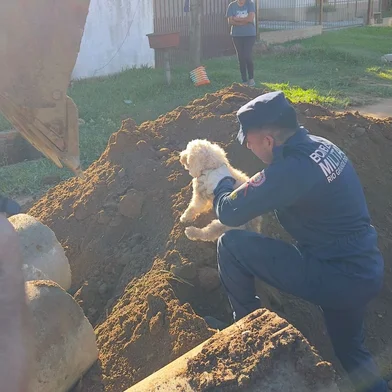 Operação com retroescavadeira mobiliza bombeiros para resgatar cão preso sob tubulação